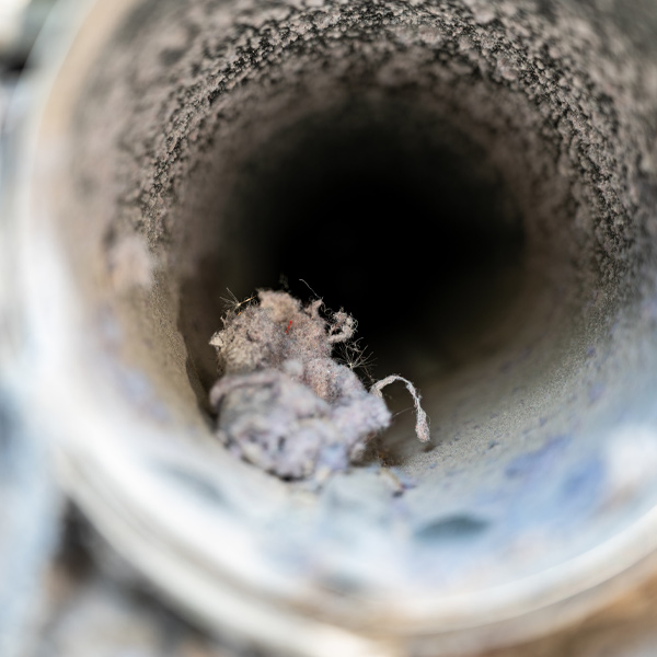 lint in a dryer vent