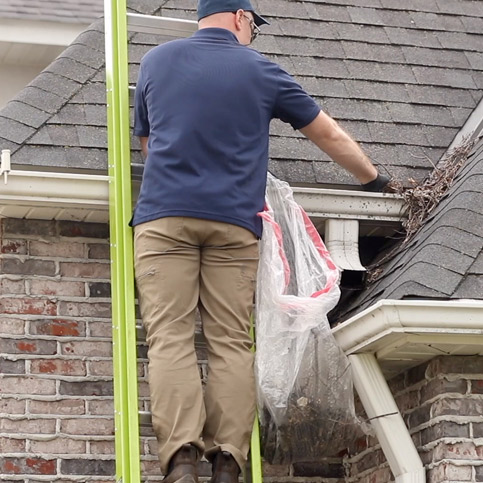 professional standing on ladder cleaning gutters on brick home